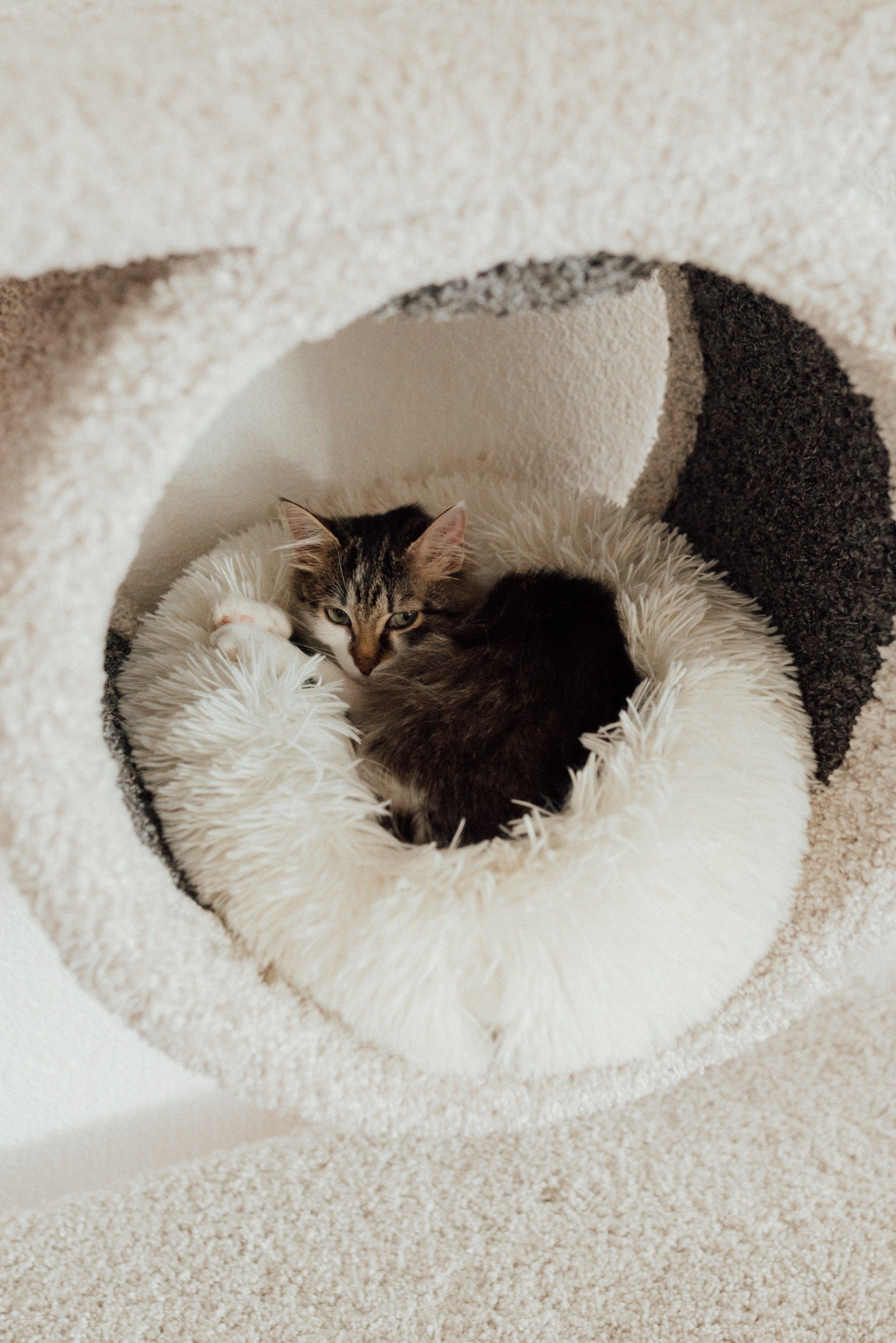 Pet Beds - Mademoiselle Home Decor & Furniture Store