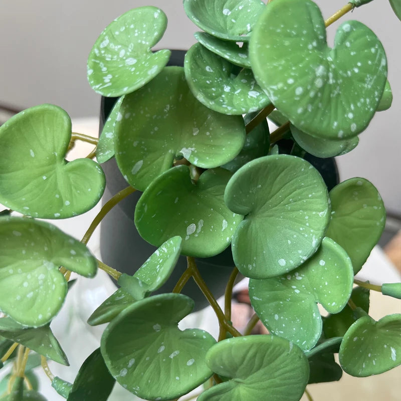 Artificial Plant Decor