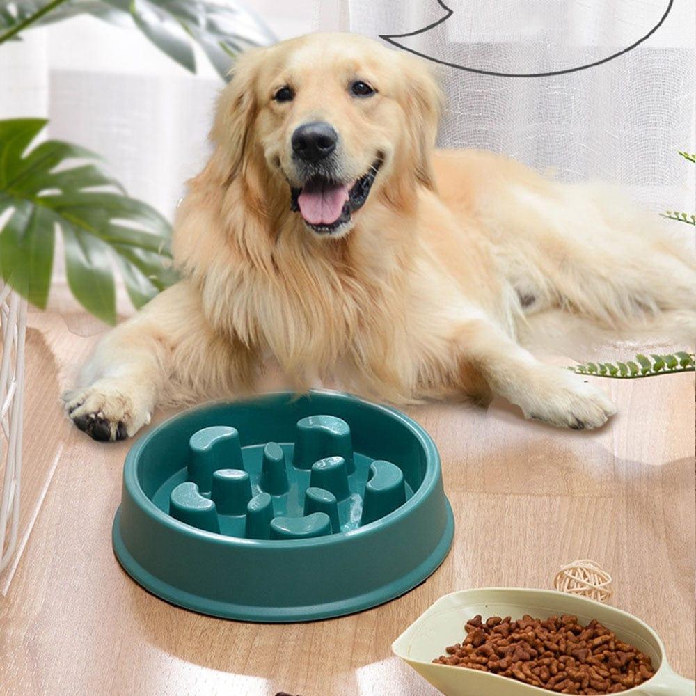 Shop 0 Pet Slow Food Bowl Small Dog Choke-proof Bowl Non-slip Slow Food Feeder Dog Rice Bowl Pet Supplies Available for Cats and Dogs Mademoiselle Home Decor