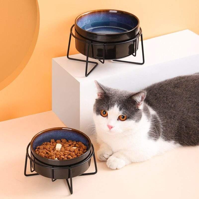 Shop 200003781 Echo Pet Bowl Mademoiselle Home Decor