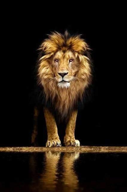 Shop 0 20x30cm no frame / K25 Lion in the Dark Canvas Art Posters And Prints Animals Wall Art Decorative Pictures African Lion Canvas Painting Home Wall Decor Mademoiselle Home Decor