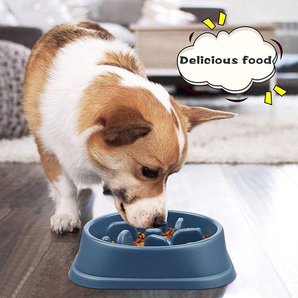 Shop 0 Pet Dog Slow Feeder Bowl Non Slip Puzzle Bowl Anti-Gulping Pet Slower Food Feeding Dishes Dog Bowl for Medium Small Dogs Puppy Mademoiselle Home Decor