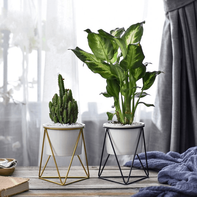 Shop Flower Pot Meina Flower Pot Mademoiselle Home Decor