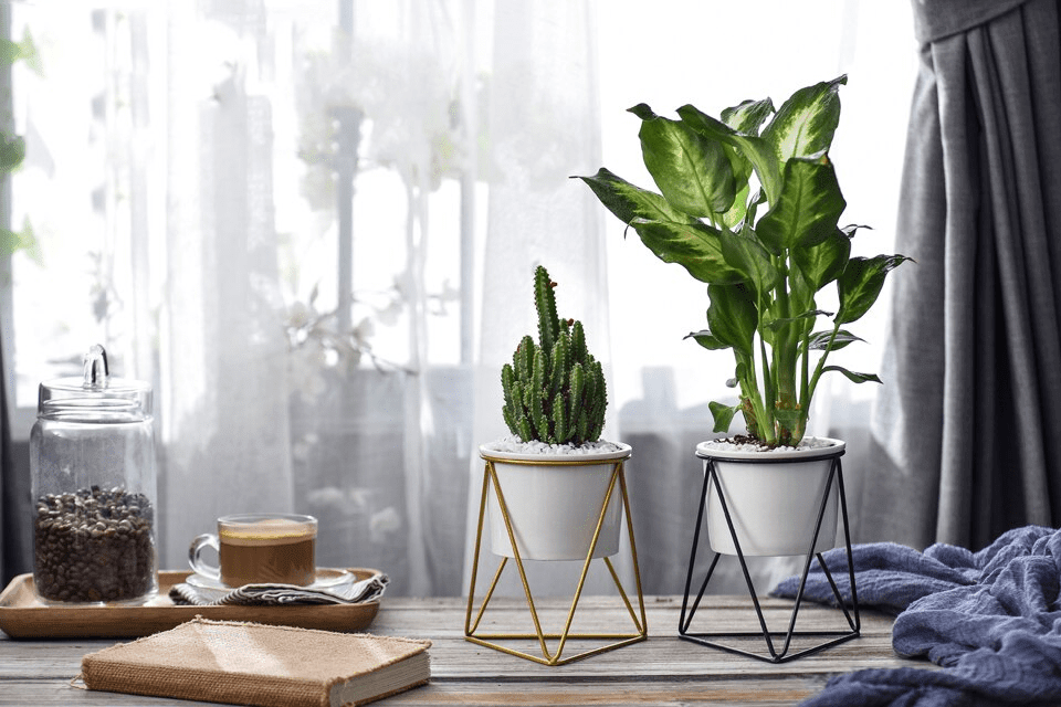 Shop Flower Pot Meina Flower Pot Mademoiselle Home Decor