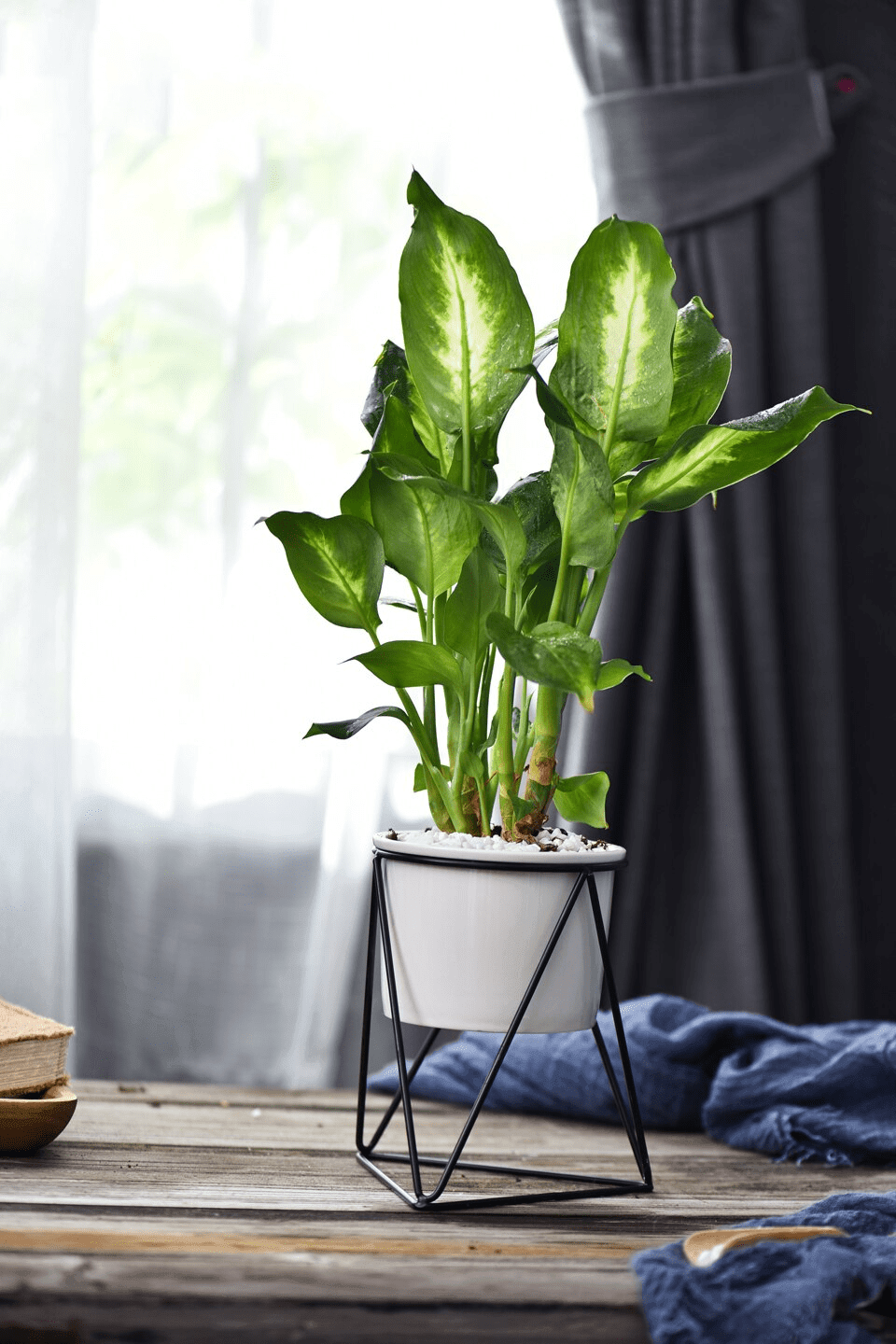 Shop Flower Pot Black Meina Flower Pot Mademoiselle Home Decor