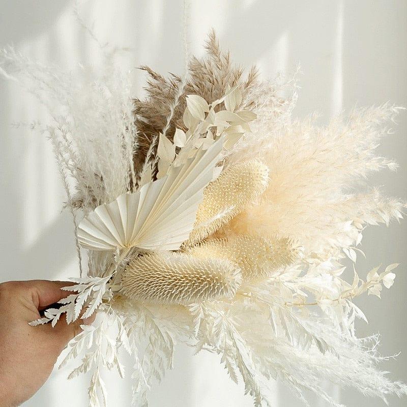 Shop 0 New Natural Real Dried Flower Reed Pampas Bouquet Home Wedding Decoration Celebrity Photography Shooting Props Natural Real Mademoiselle Home Decor
