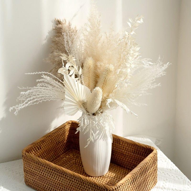 Shop 0 NO VASE New Natural Real Dried Flower Reed Pampas Bouquet Home Wedding Decoration Celebrity Photography Shooting Props Natural Real Mademoiselle Home Decor