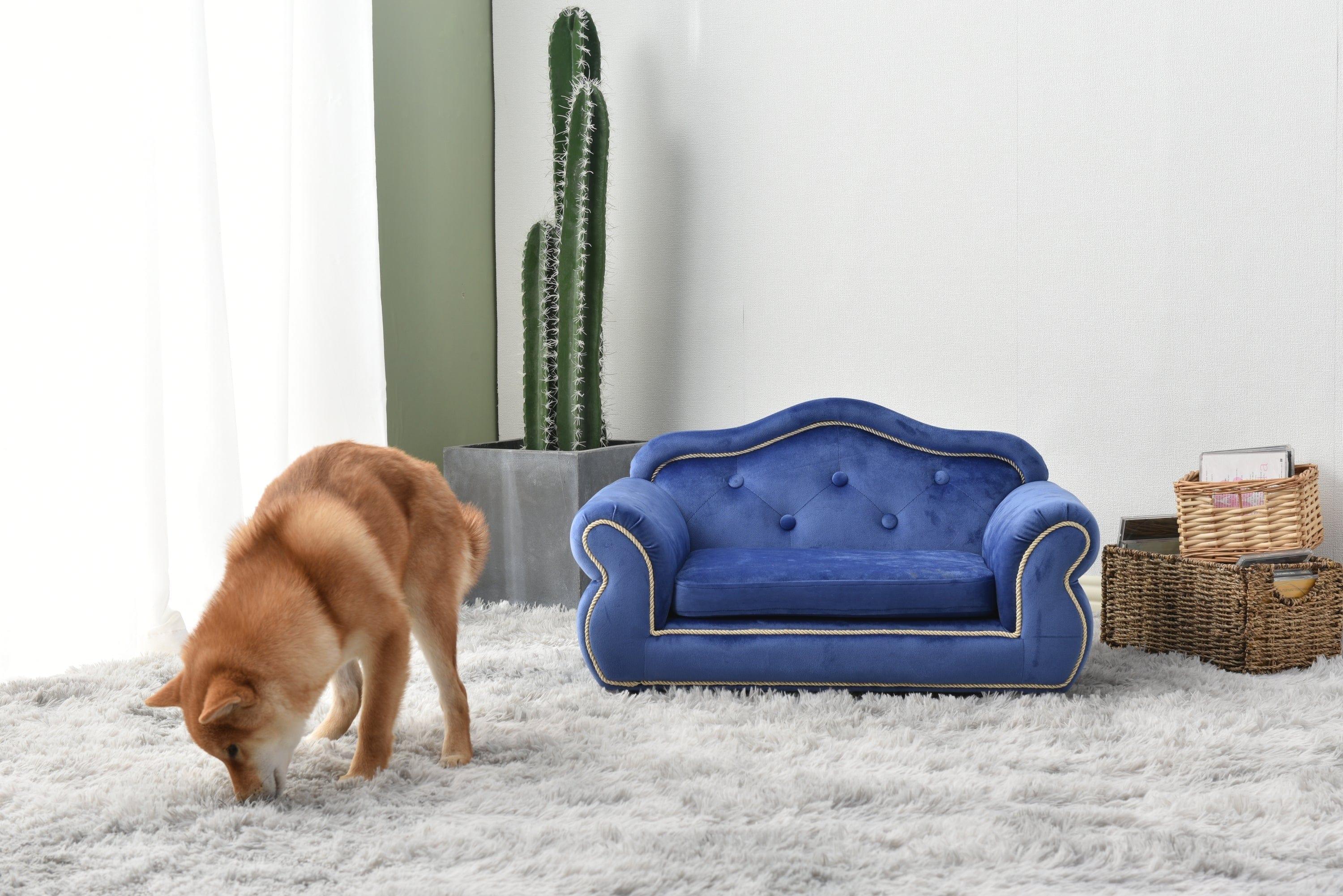 Shop Rayne Pet Bed Mademoiselle Home Decor