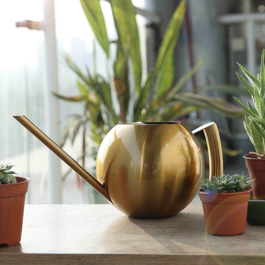 watering can for indoor plants amazon Round Flexible Stainless Steel Watering Can Gold