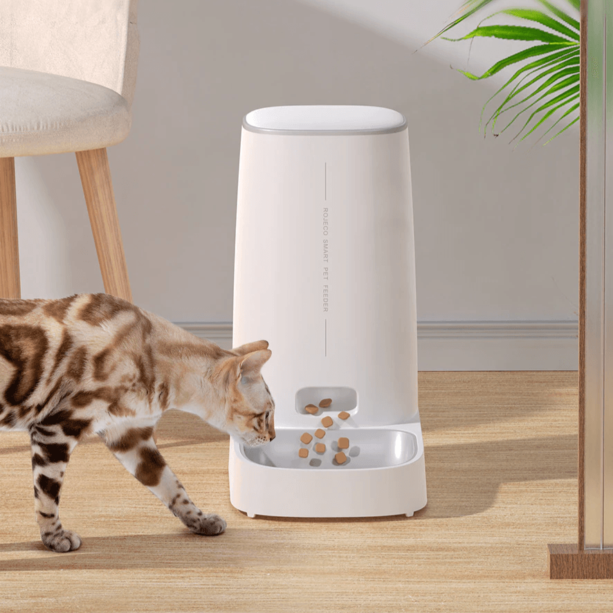 Shop 0 ROJECO Automatic Pet Feeder Smart Control Cat Food Dispenser Accessories Auto Pet Feeder For Cats Chats Dog Dry Food Feeding 4L Mademoiselle Home Decor