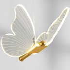 Butterfly Lighting