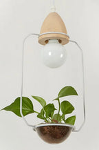 hanging planter light fixture Tipo Hanging Plant Lighting – Official Mademoiselle