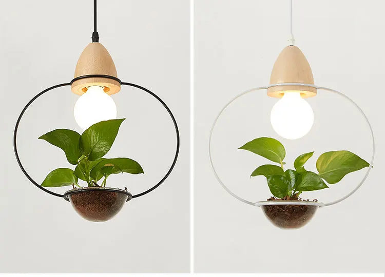 Tipo Hanging Plant Lighting