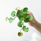 Artificial Plant Decor