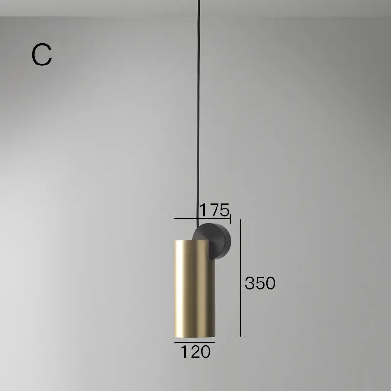 44219505541344