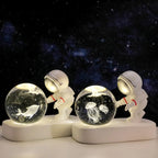 Astronaut Dolphin Crystal Ball