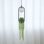 hanging planter with light Onslow Hanging Plant Lighting – Official Mademoiselle