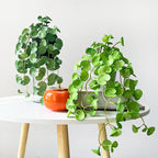 Artificial Plant Decor