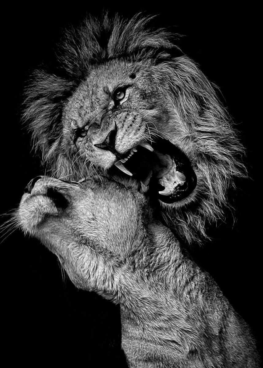 Shop 0 20X30 cm No Frame / HZ15163 Black White Animals Art Lions Oil Painting Canvas Art Posters and Prints Wall Pictures for Living Room Home Wall Cuadros Decor Mademoiselle Home Decor