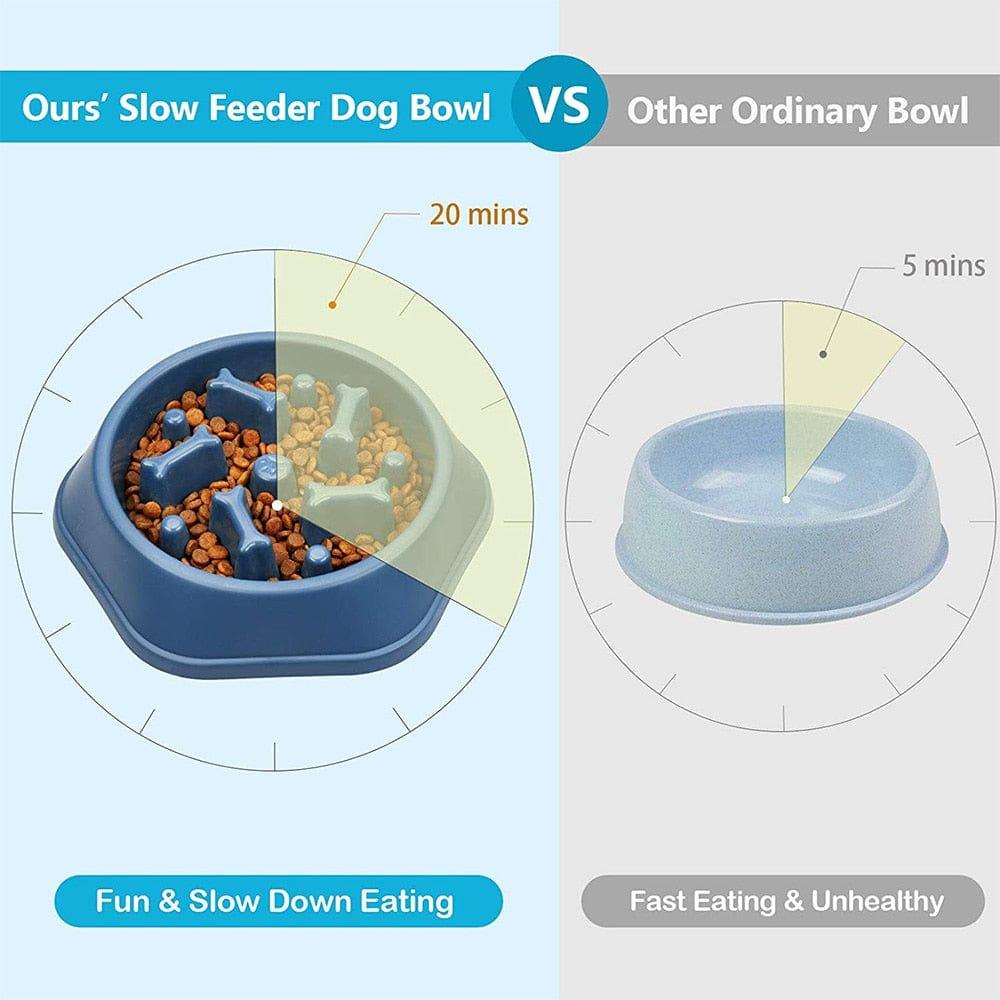 Shop 0 Pet Dog Bowl Dog Slow Feeder Bowl Puppy Cat Slow Eating Dish Bowl Anti-Gulping Food Plate Feeding Dog Cat Food Bowl Pet Supplies Mademoiselle Home Decor