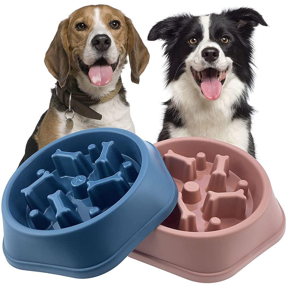 Shop 0 Pet Dog Bowl Dog Slow Feeder Bowl Puppy Cat Slow Eating Dish Bowl Anti-Gulping Food Plate Feeding Dog Cat Food Bowl Pet Supplies Mademoiselle Home Decor