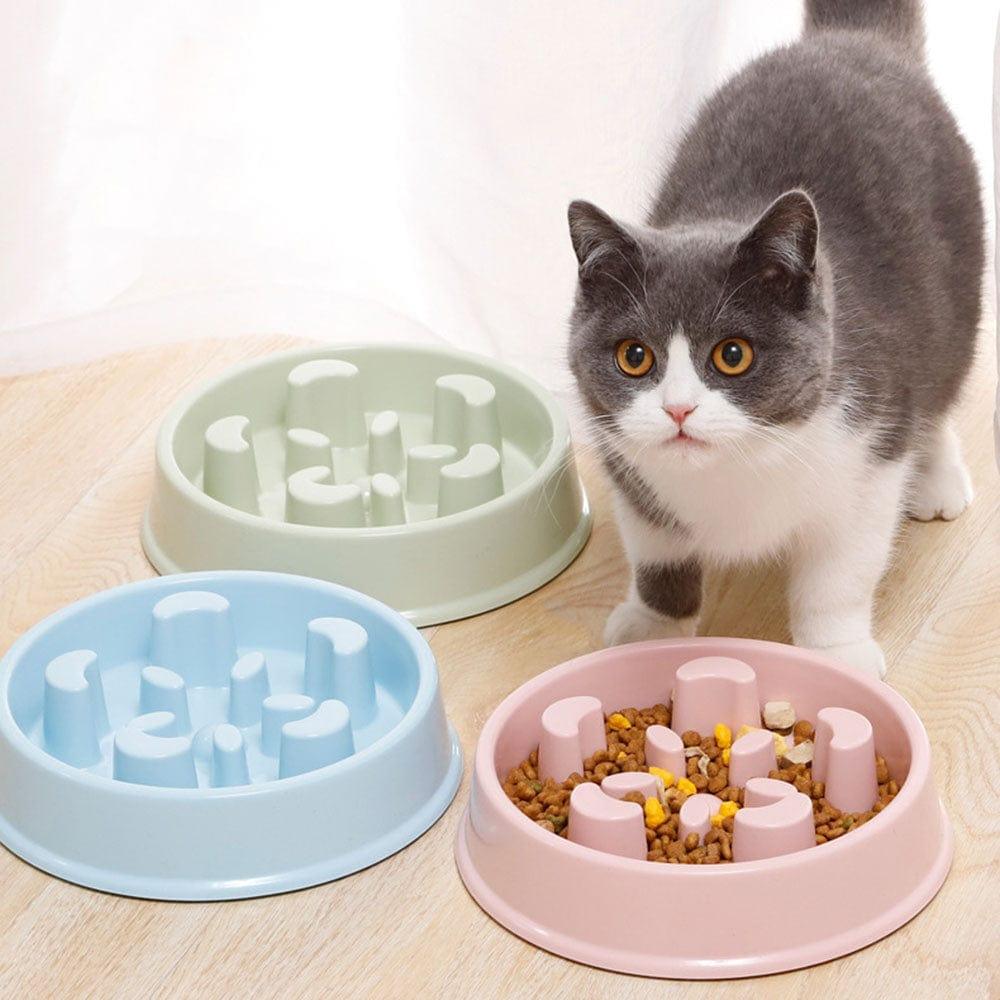 Shop 0 Buddy Slow Feeder Bowl Mademoiselle Home Decor