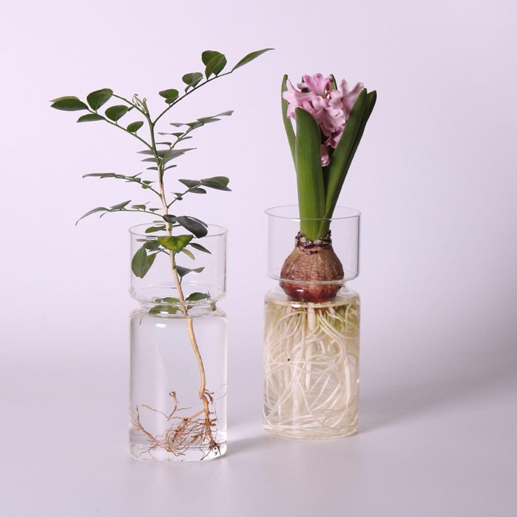 Shop 0 Clear Glass Hyacinth Vase Transparent Flower Plant Bottle Pot DIY Ornaments Home Living Room Garden Decoration Desk Decors 15cm Mademoiselle Home Decor