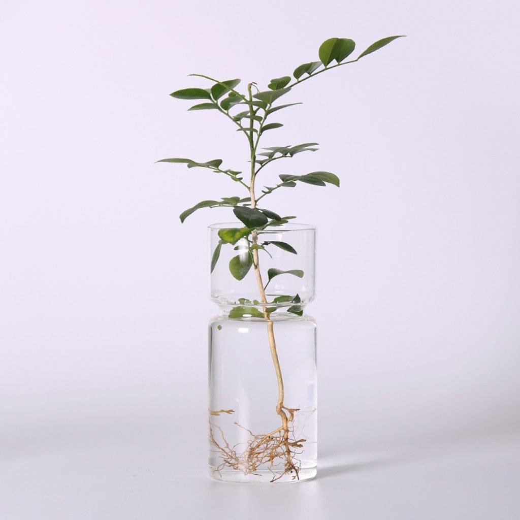 Shop 0 Clear Glass Hyacinth Vase Transparent Flower Plant Bottle Pot DIY Ornaments Home Living Room Garden Decoration Desk Decors 15cm Mademoiselle Home Decor