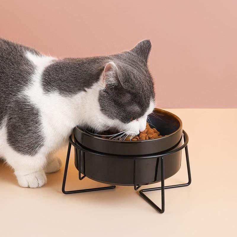 Shop 200003781 Echo Pet Bowl Mademoiselle Home Decor
