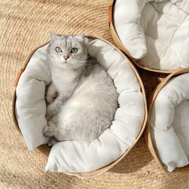 Shop 0 Gisou Pet Bed Mademoiselle Home Decor