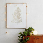 Shop 150403 Iko LED Light Bulbs Mademoiselle Home Decor