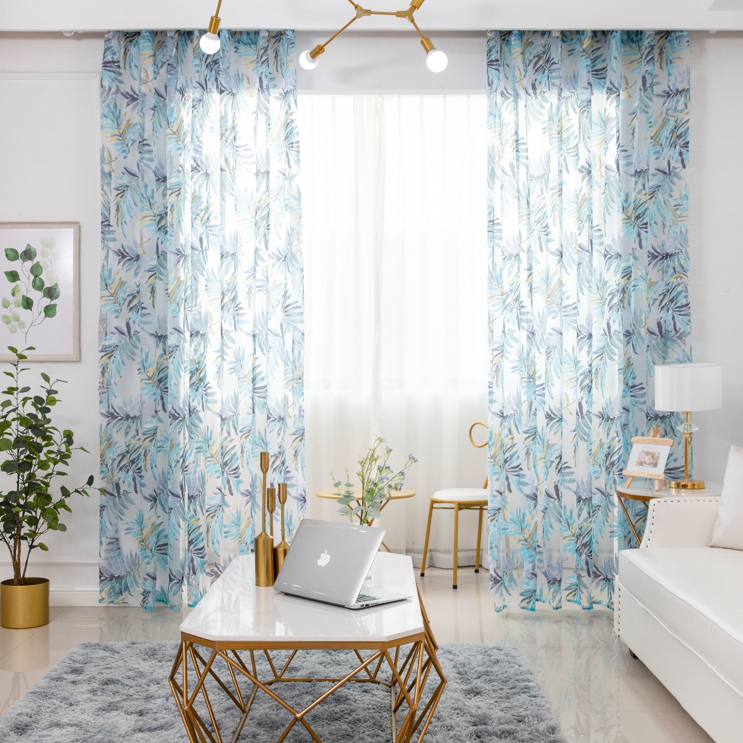 Honolulu Curtain