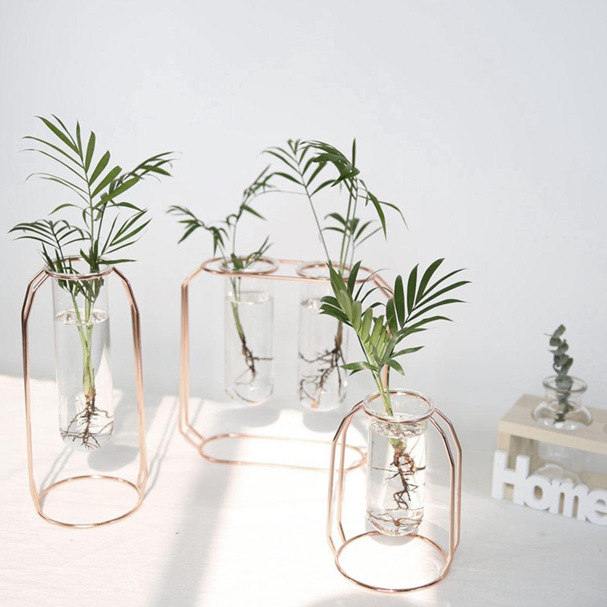 Shop 0 Nordic Creative Vase Home Decor Golden Glass Vase Hydroponic Plant Holder Iron Line Flowers Ornament Home Garden Decoration Hot Mademoiselle Home Decor