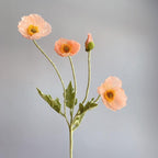 Shop 0 Mellow Apricot Lolita Flowers Mademoiselle Home Decor