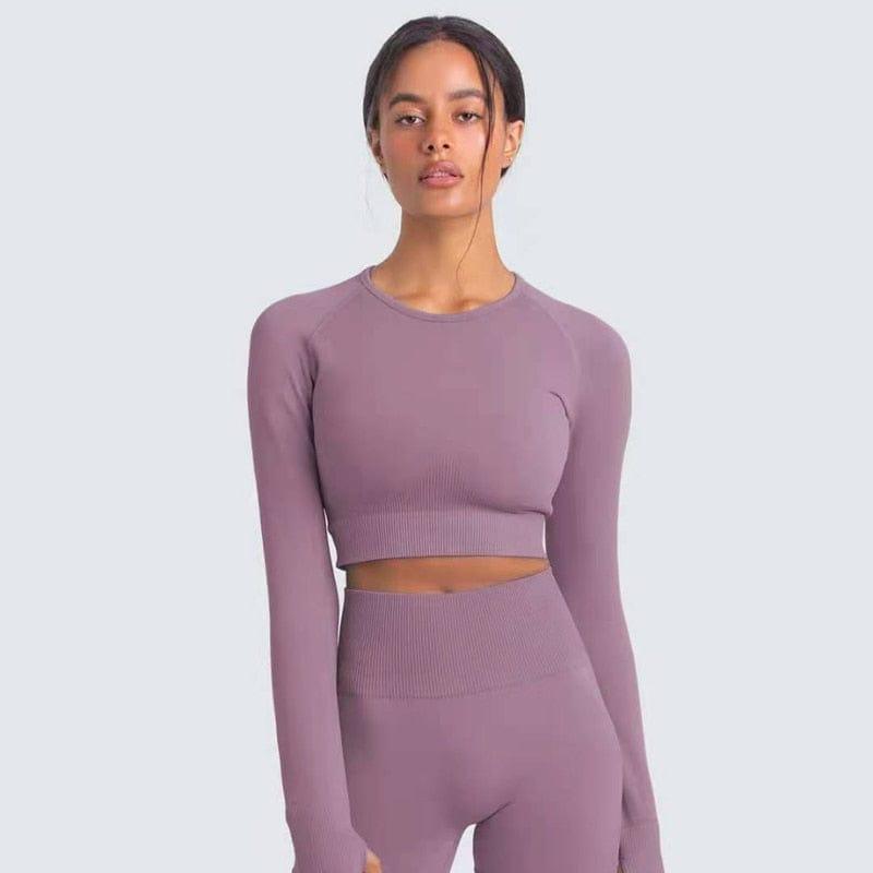 Shop 0 light purple long 2 / S Two Piece Set Women Sportswear Workout Clothes for Women Sport Sets Suits For Fitness Long Sleeve Seamless Yoga Set Leggings Mademoiselle Home Decor