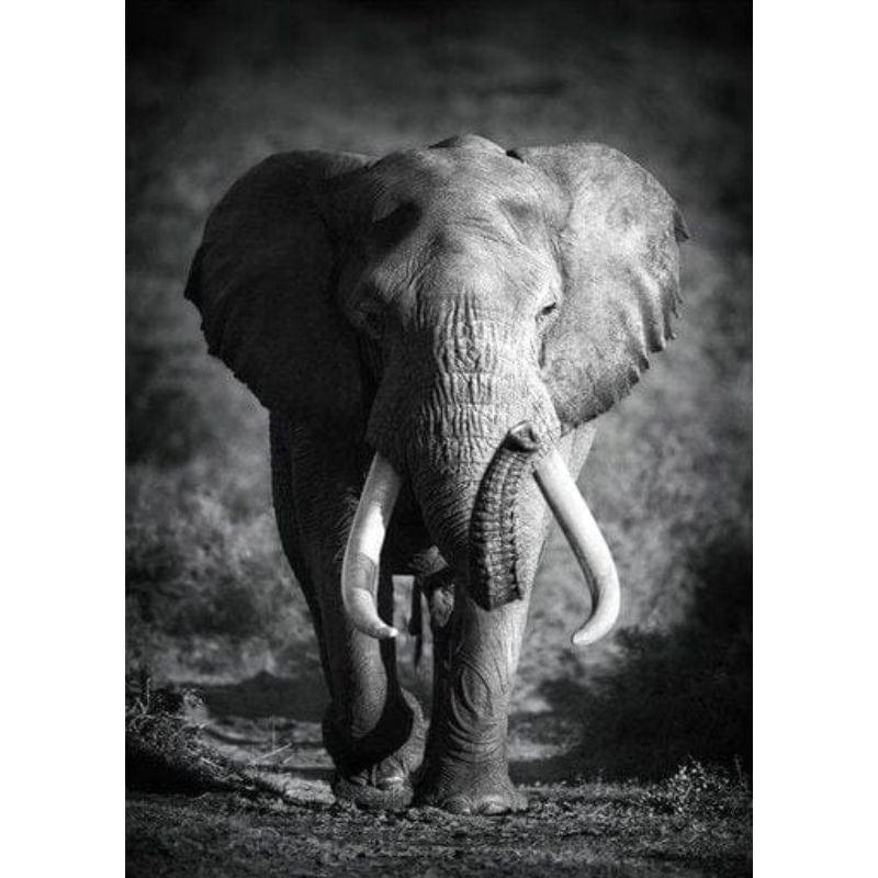 Shop 0 I / 21x30cm  8x12inch Madagascar Canvas Mademoiselle Home Decor