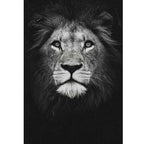 Shop 0 L / 21x30cm  8x12inch Madagascar Canvas Mademoiselle Home Decor