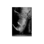 Shop 0 C / 21x30cm  8x12inch Animal Realist Black White Print Nordic Canvas Painting Poster Home Decor Wall Print Giraffe Elephant Zebra Living Room Bedroom Mademoiselle Home Decor
