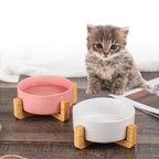 Shop 200003694 Melo Pet Bowl Mademoiselle Home Decor