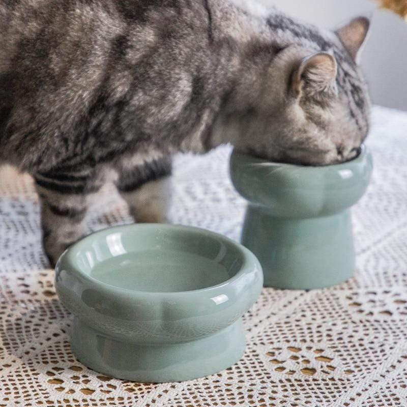 Shop 200003694 Miyake Pet Bowl Mademoiselle Home Decor
