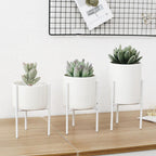 Shop 100005865 Moochi Plant Stand Mademoiselle Home Decor