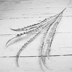 Shop 0 Silver miscanthus Nima Artificial Plant Mademoiselle Home Decor