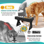 Shop 200003781 Pawsome Adjustable Pet Feeding Station Mademoiselle Home Decor