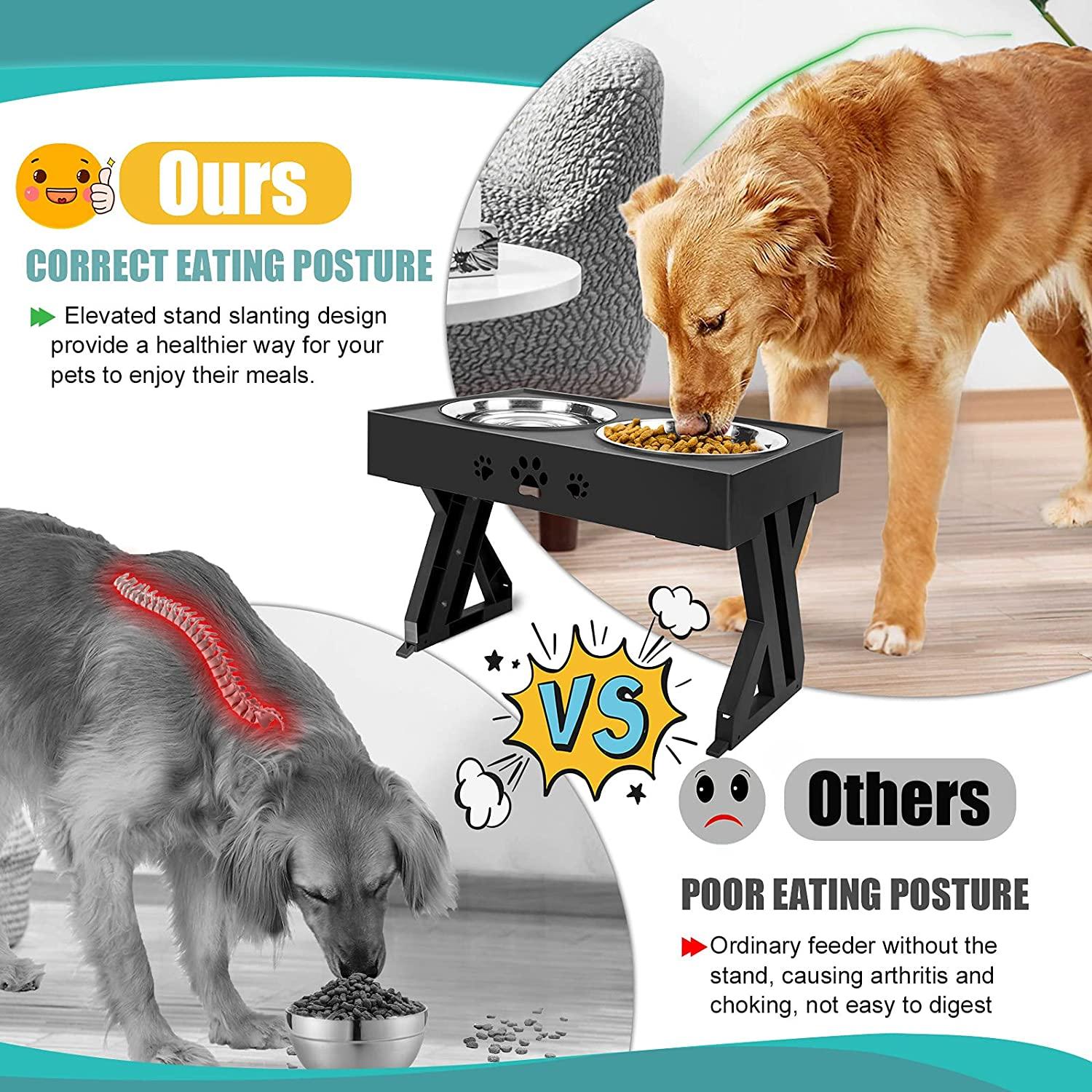 Shop 200003781 Pawsome Adjustable Pet Feeding Station Mademoiselle Home Decor