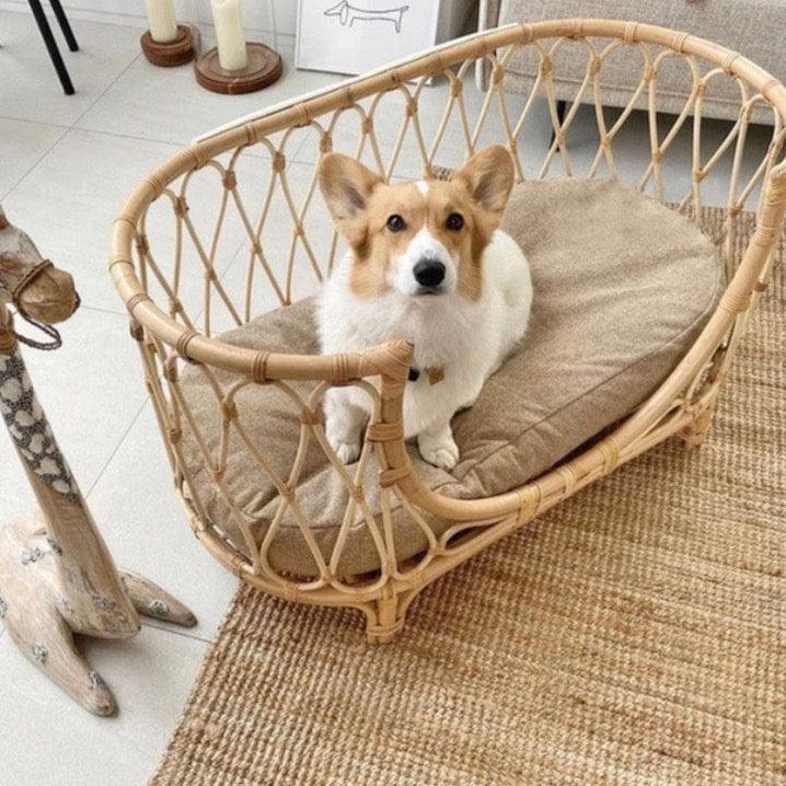 Shop 0 Pet bed hand-woven rattan pet bed dog sofa chair cat princess nest four seasons universal removable Dog Beds for Medium Dogs Mademoiselle Home Decor