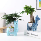 Shop 100005865 Sahara Vases Mademoiselle Home Decor