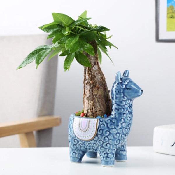 Shop 100005865 C Sahara Vases Mademoiselle Home Decor