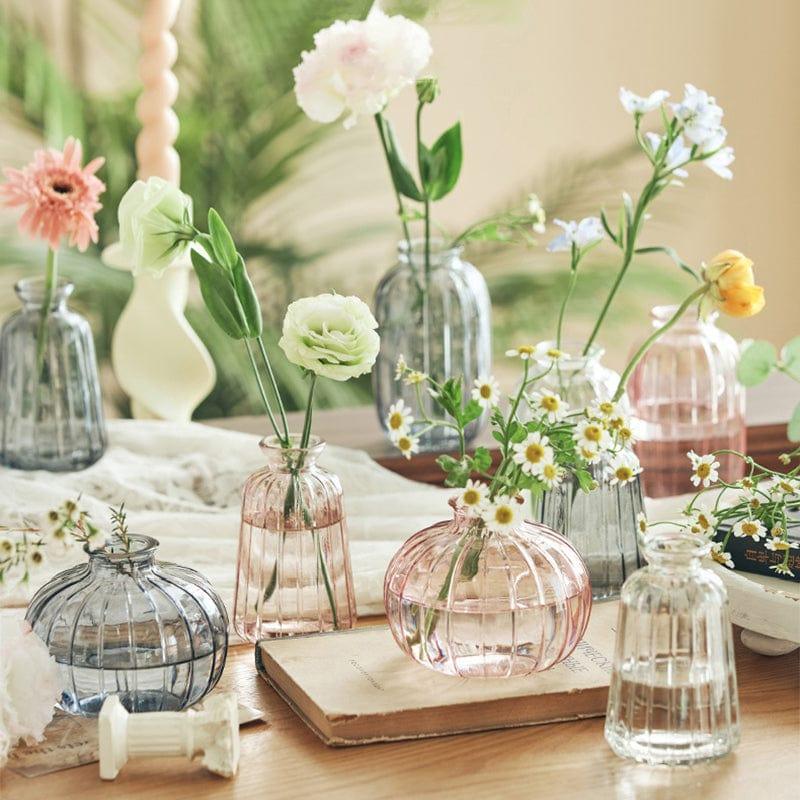 Shop 0 Transparent Glass Vases for Plant Bottle Nordic Flower Vase Hydroponic Terrarium Container Flower Table Pot ваза для цветов Mademoiselle Home Decor