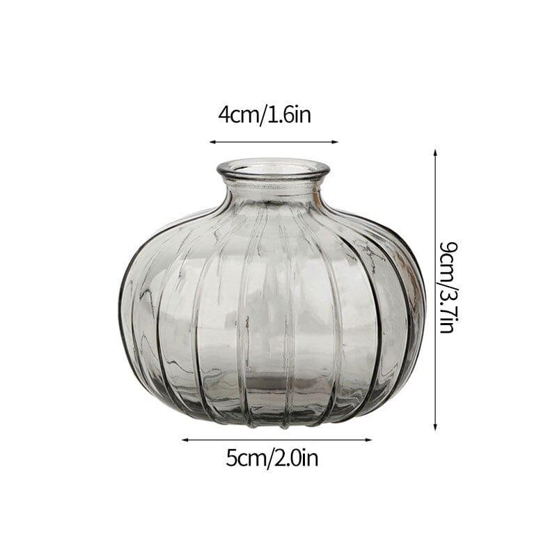 Shop 0 Glass Vase S19 Transparent Glass Vases for Plant Bottle Nordic Flower Vase Hydroponic Terrarium Container Flower Table Pot ваза для цветов Mademoiselle Home Decor