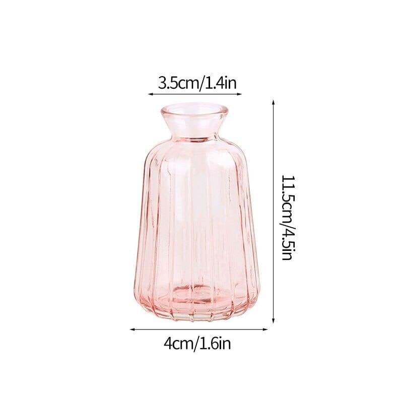 Shop 0 Glass Vase S15 Transparent Glass Vases for Plant Bottle Nordic Flower Vase Hydroponic Terrarium Container Flower Table Pot ваза для цветов Mademoiselle Home Decor